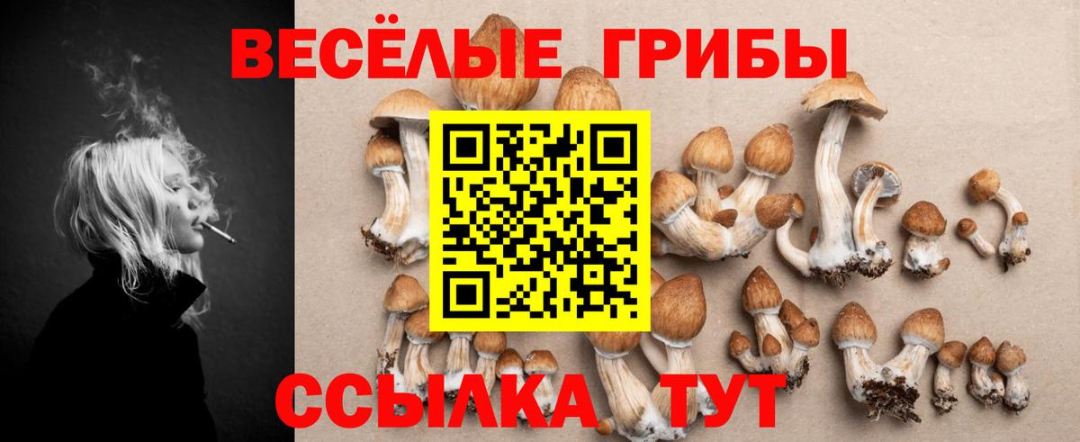 Полысаево  Псилоцибиновые грибы Magic Shrooms  Вход с VPN 